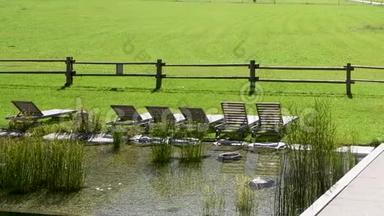 绿色草地上有草地、躺椅和躺椅的天然游泳池